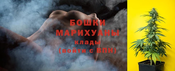 ПСИЛОЦИБИНОВЫЕ ГРИБЫ Алзамай